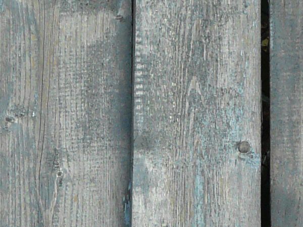 Rustic grey planks with splintering ends set vertically with grass on bottom.